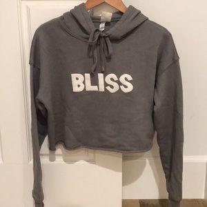 Grey crop sweatshirt. Hand sewn “Bliss” letters.